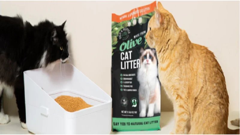 How Much Litter to Put in a Litter Box?